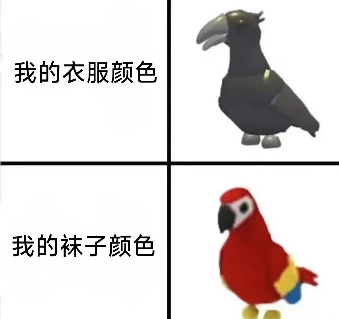 每日梗图 ​​​