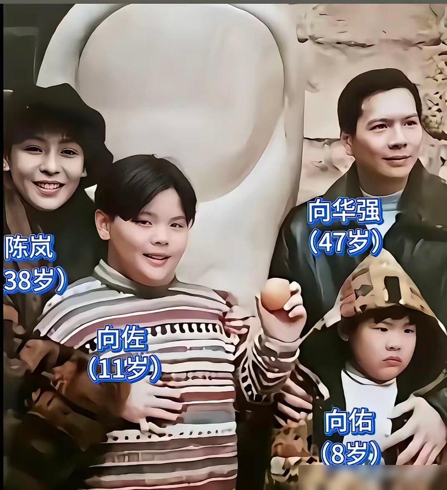 向佐说：“我的妈妈非常疼爱她的孙辈，她说她这辈子是不会再允许让孙辈出国留学的。