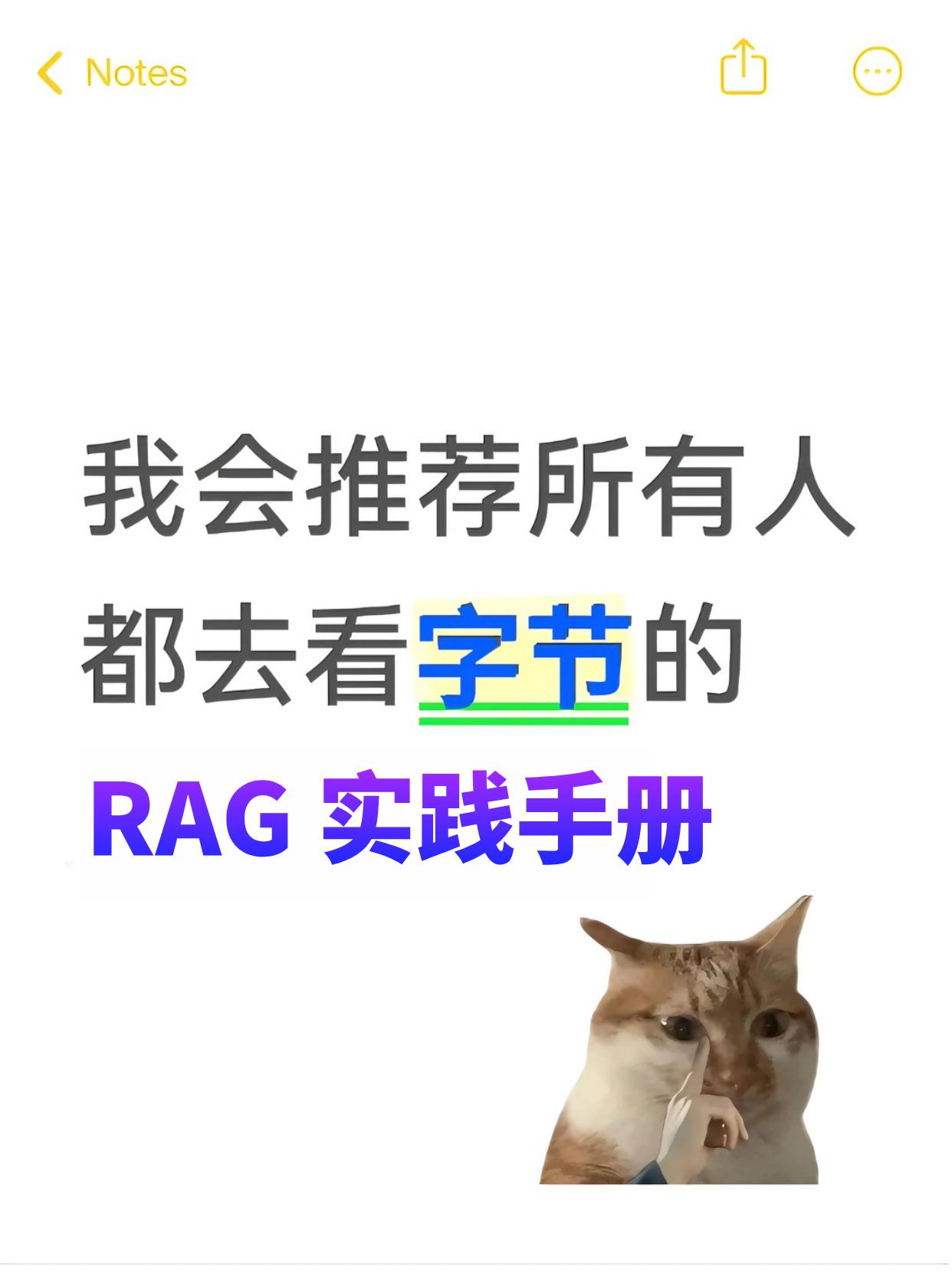 我会推荐所有人都去看字节的RAG 实践手册！
程序员 机器学习 rag ai 智