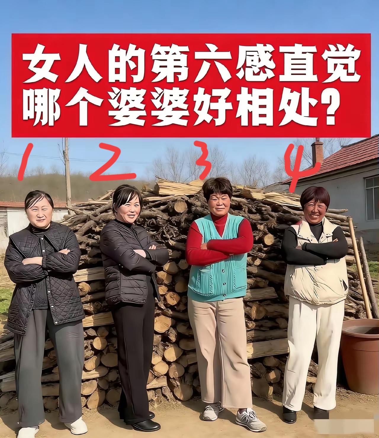 四位婆婆，直觉告诉我，几号最好相处？