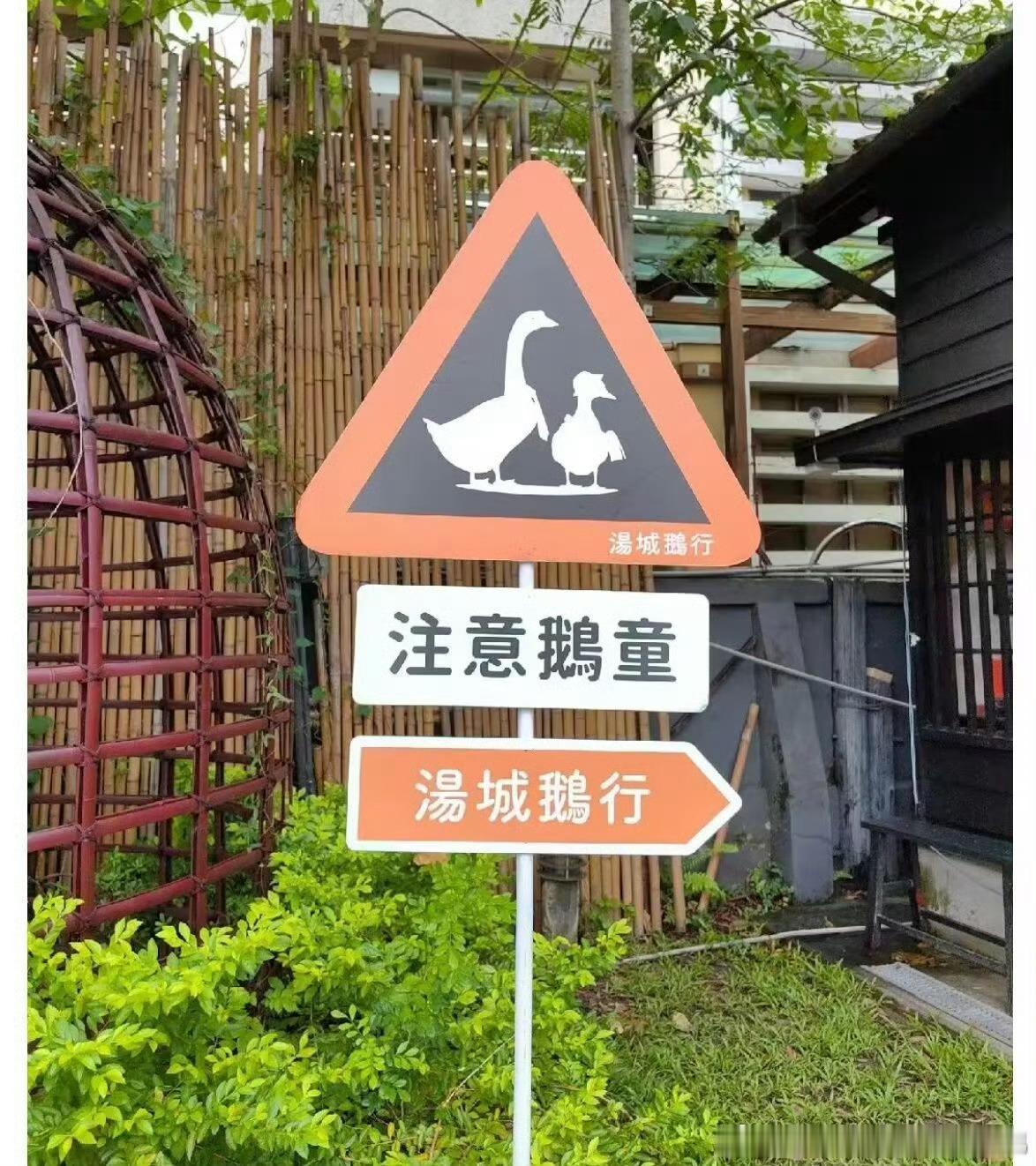 注意鹅童[开学季] ​​​