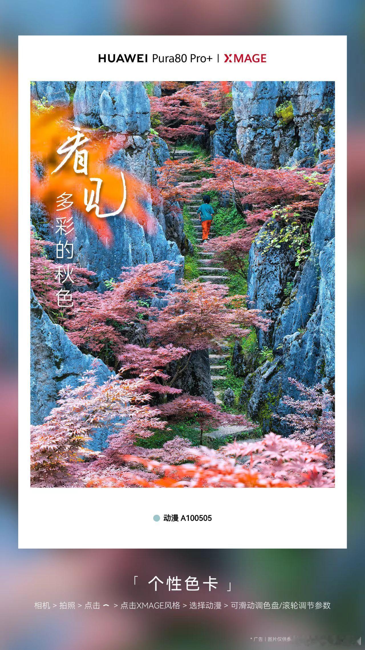 Pura80的个性色卡真的很好用啊，一张照片可以轻松切换多种风格，日常一下子变得