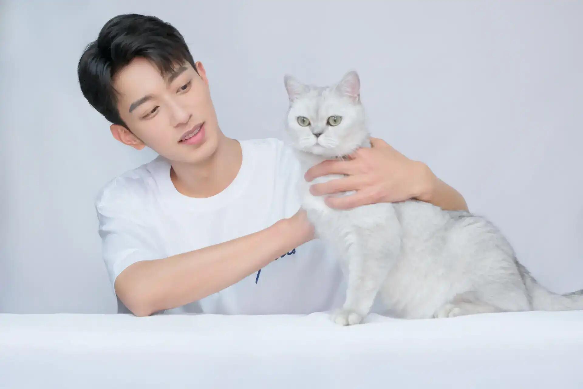 我不止喜欢猫，我也喜欢你只做你一个人的猫 ​​​