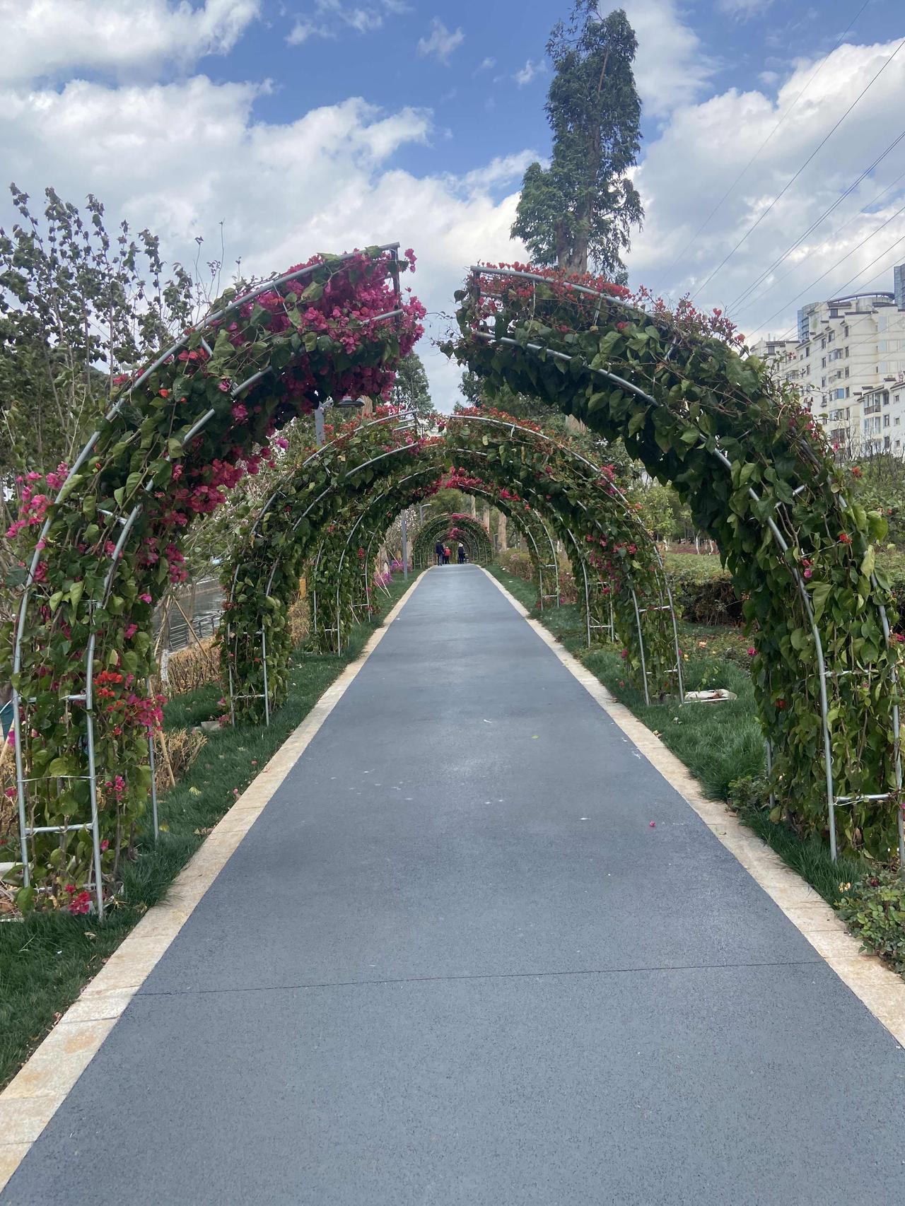 换好衣服出门跑步，心情会随着跑步慢慢变好，跑步的魔力在于长期坚持，也有一点理解人