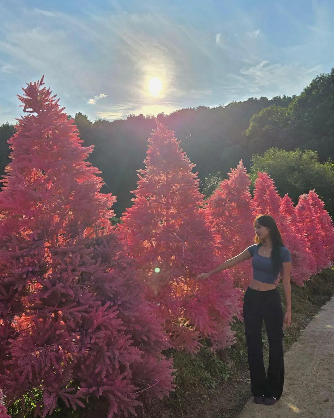 霓裳一曲千峰上
#舞得一踏浮屠# #翠袖轻笼红袂短# #千舟又过一重山# #风忆