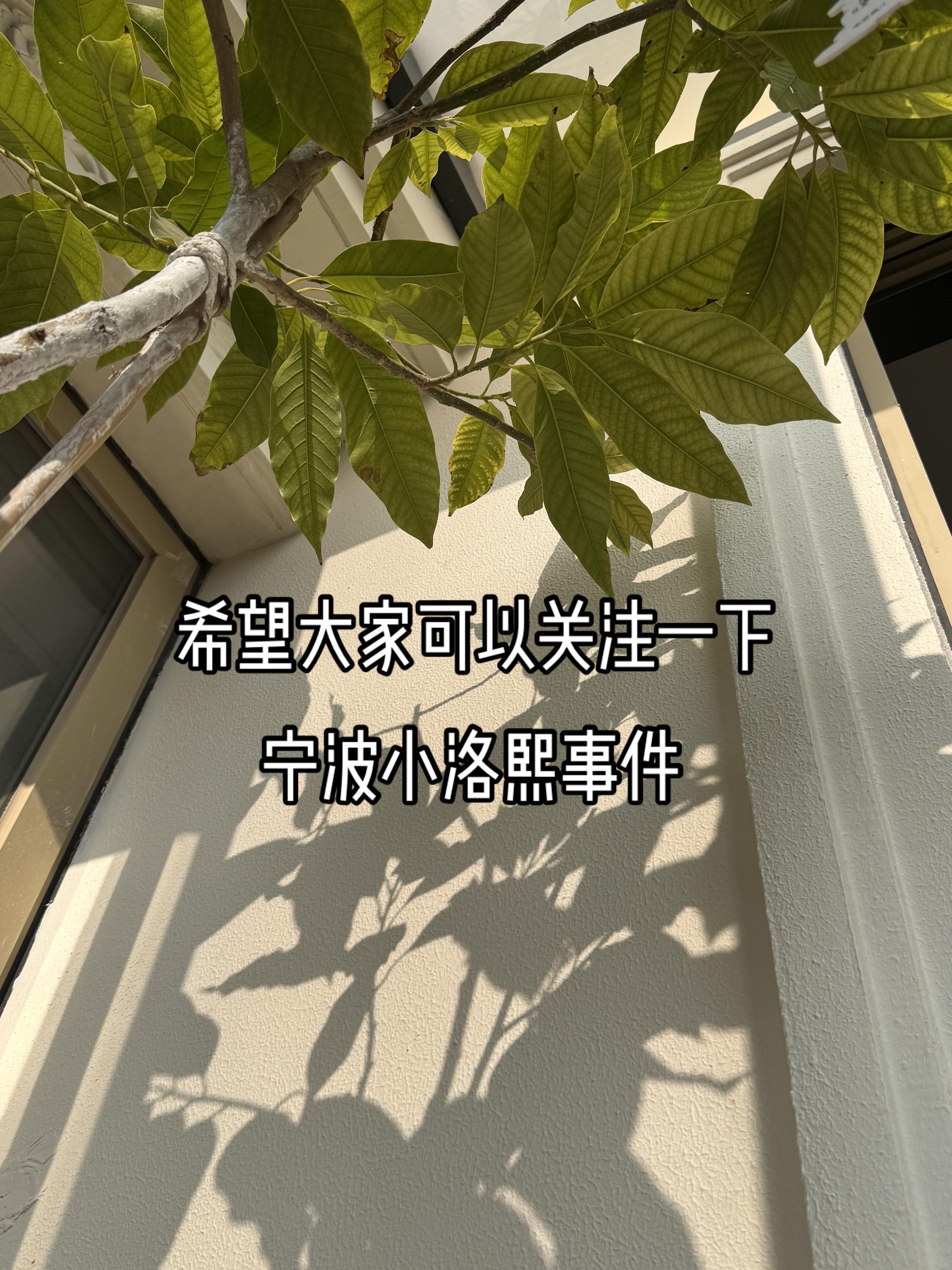 每刷一次这个音乐，都要被挖心一次。