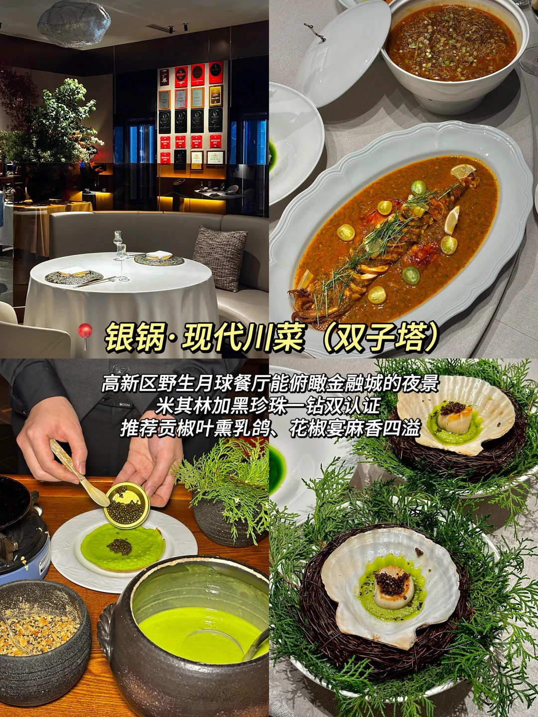 成都那些我私藏的高端宝藏餐厅🍴