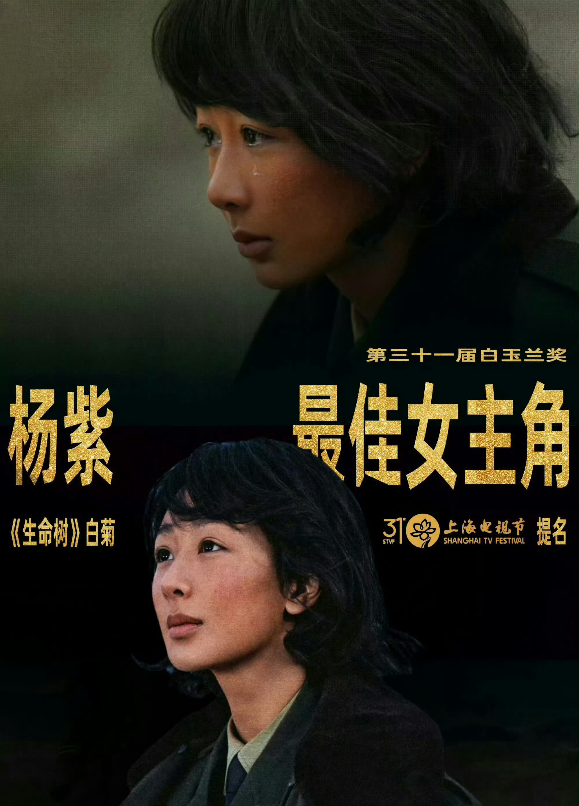 哇哦，白玉兰终于舍得给流量放奖了诶。 
