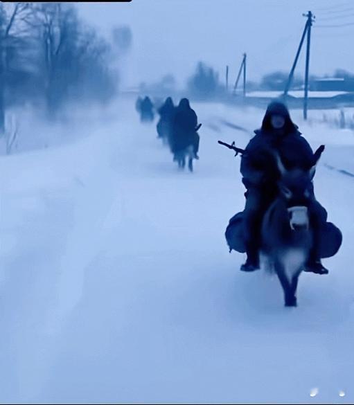 俄乌战争打到了第四年，俄军的重装合成驴也腾空而出了！

长时间的拉锯战，对双方人