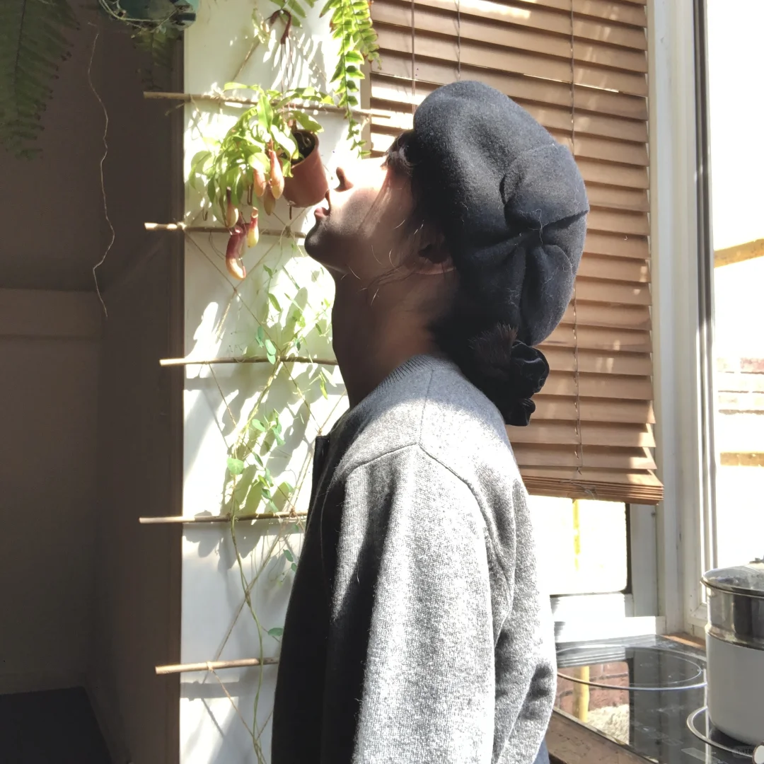 咕噜咕噜