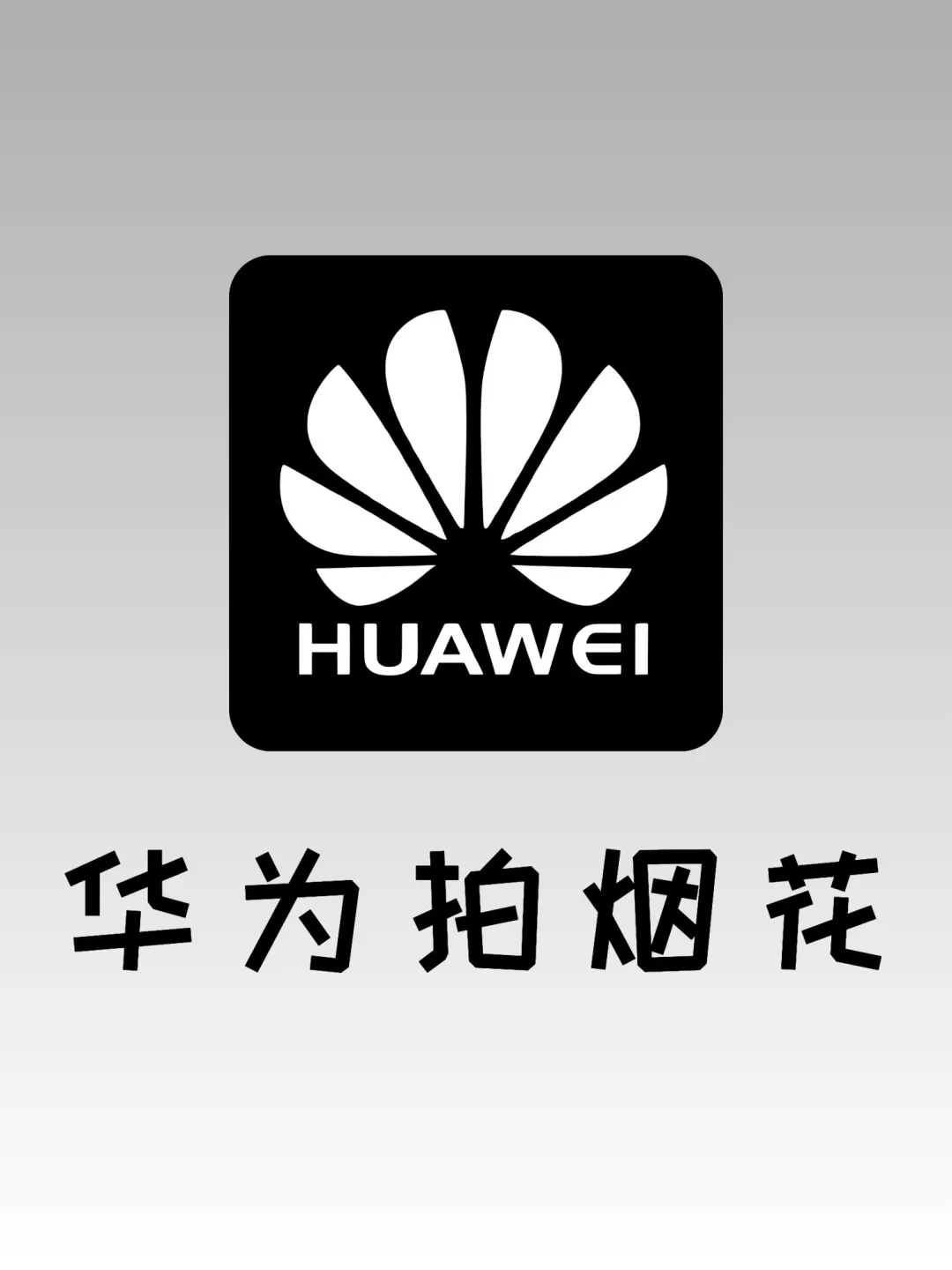 烟花大片‼️这次不用羡慕别人了！