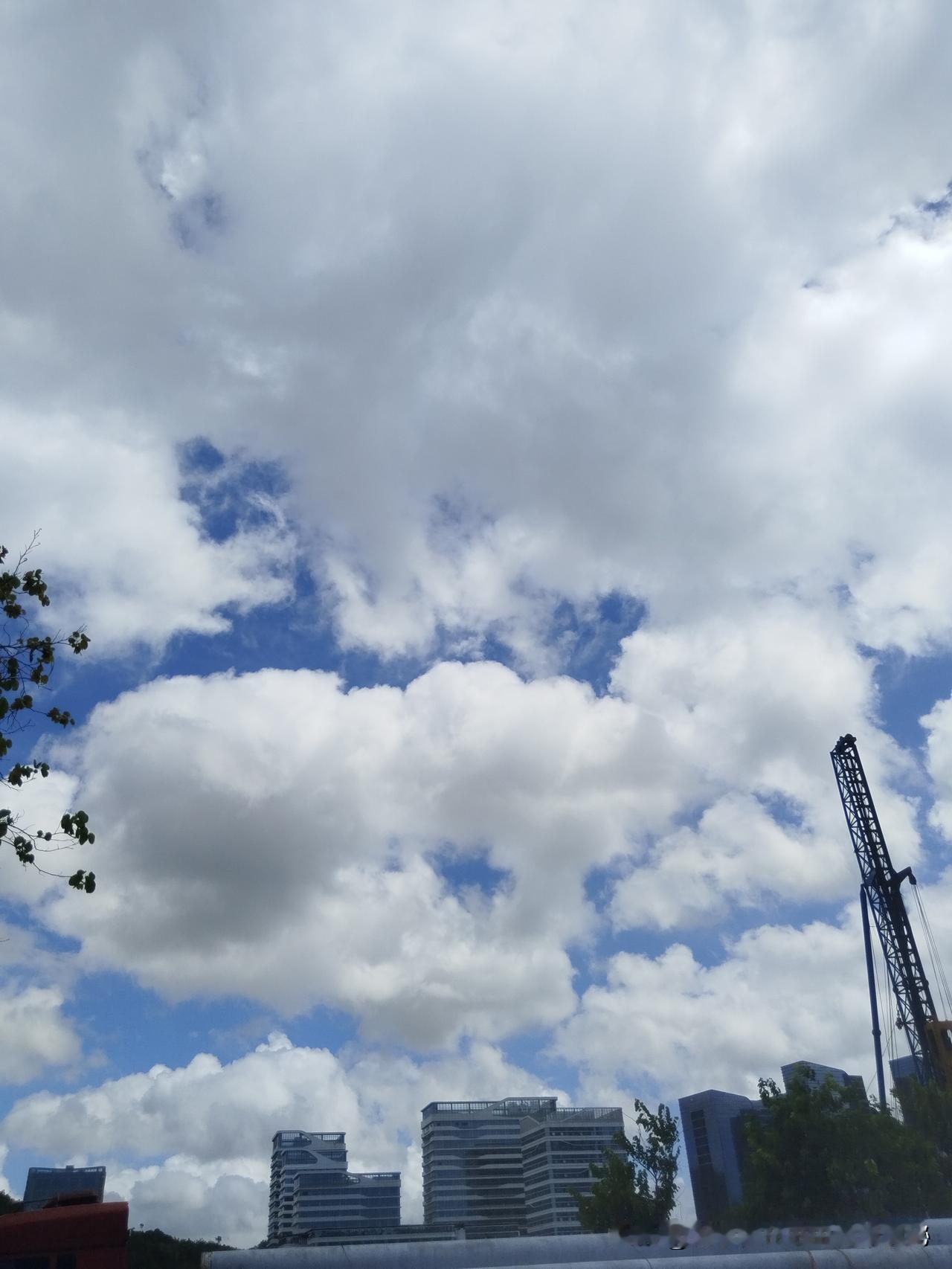 分享一张美丽的天空！！夏日里美丽多变的云朵