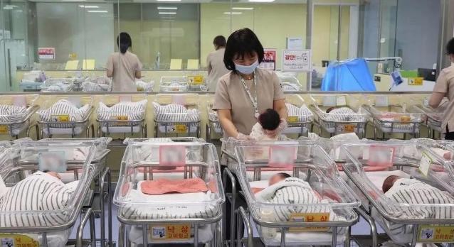 [月亮]在韩国，儿童的地位竟然不如一只宠物狗！街边格调稍高的咖啡厅、餐厅甚至图书