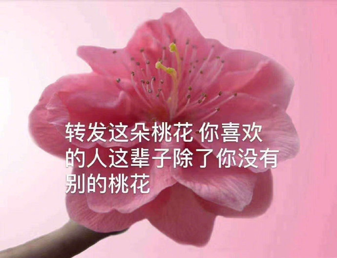 信了，信了，信了