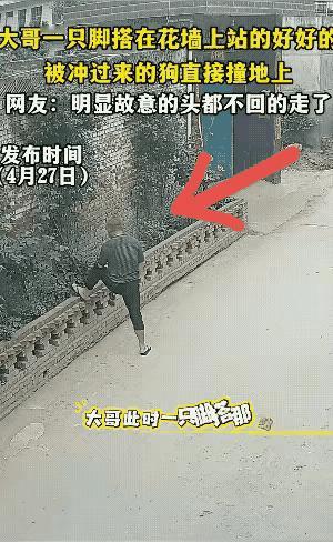 肇事者逃逸了，好事者返回来凑热闹，这不是找打么。