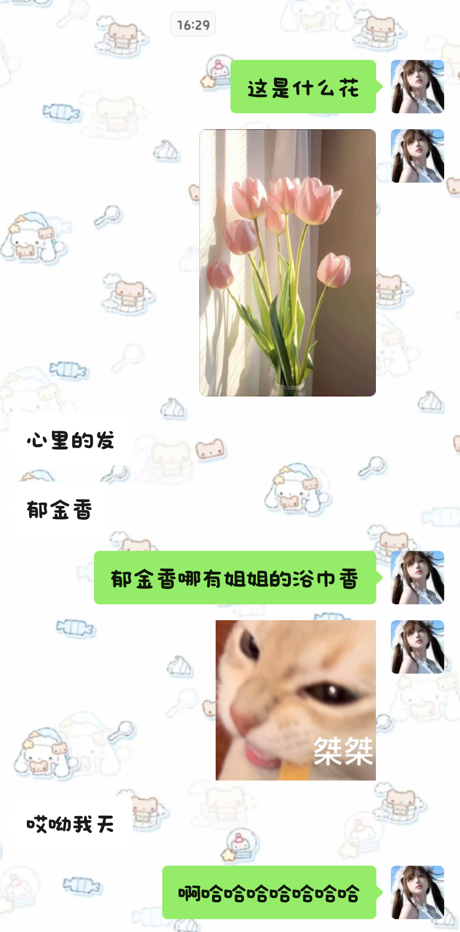 学习能力拉满