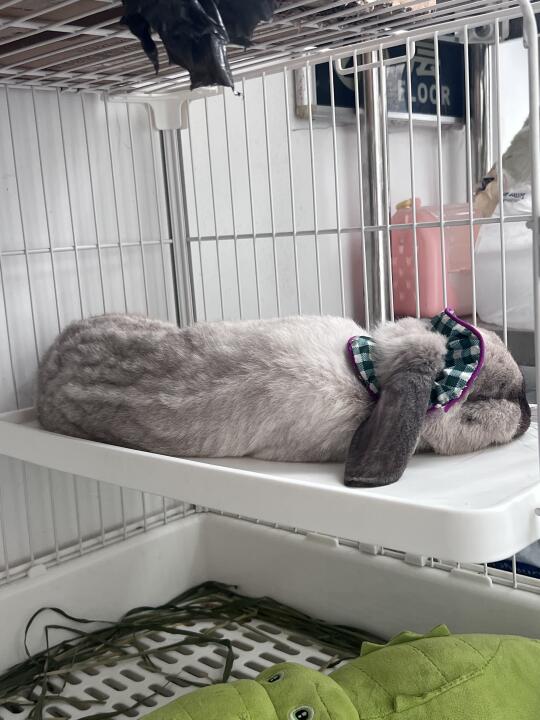 孩子睡的很安详