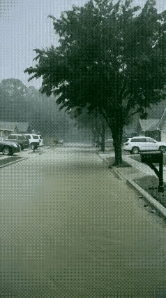 大树枝在狂风暴雨中被风刮断，
进而大树遭雷劈粉身碎骨。
这大树究竟招谁惹谁了，