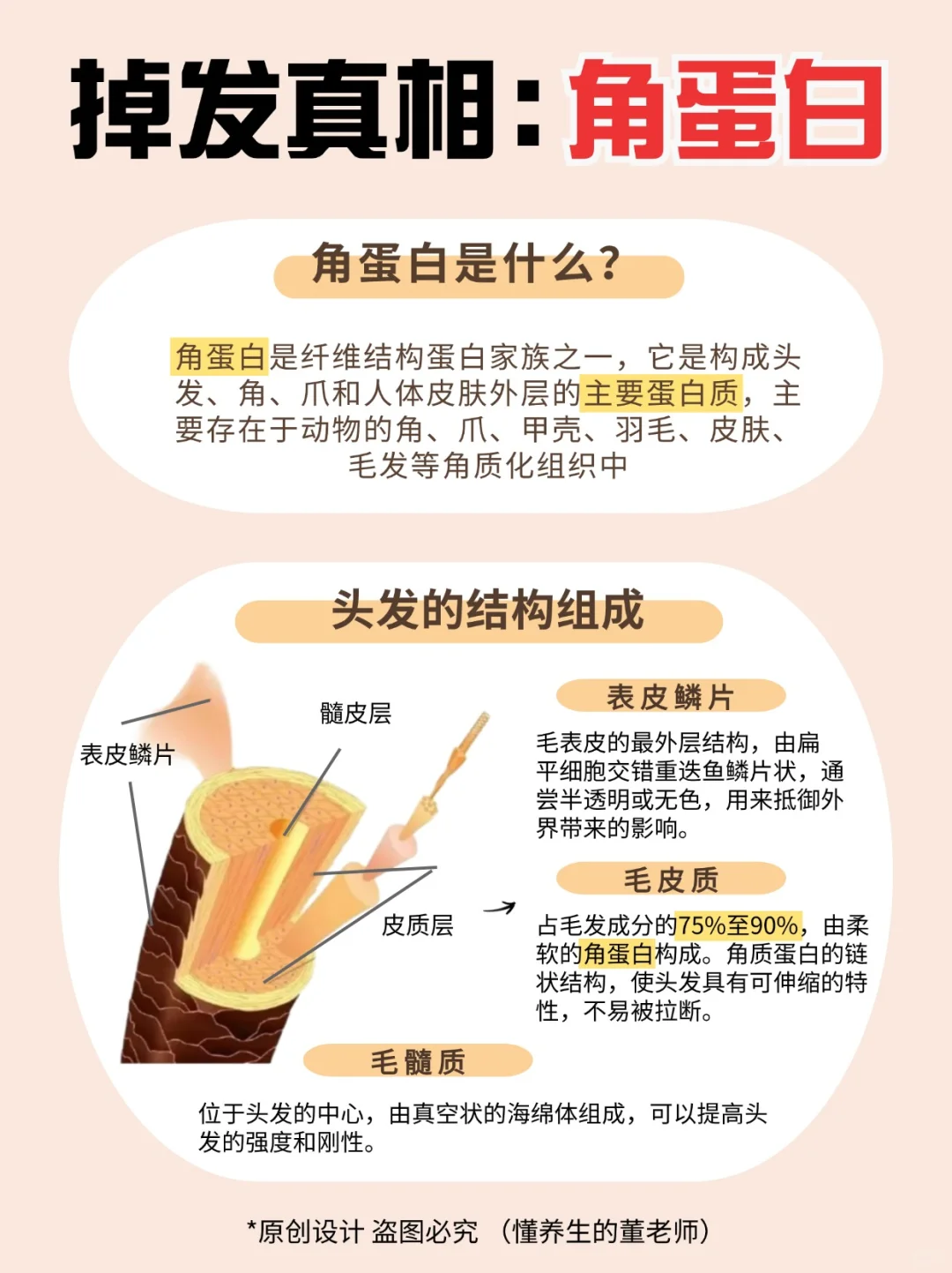 掉发的真相：缺少角蛋白✅附内调攻略