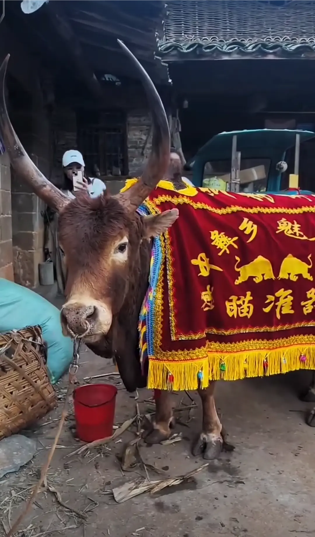 这国是不是比黑武器的长😎🇨🇳