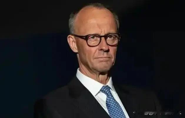 大实话来一句。一般你们听不到的大实话。默茨来了，我看很多人写了微头条，但是，最火