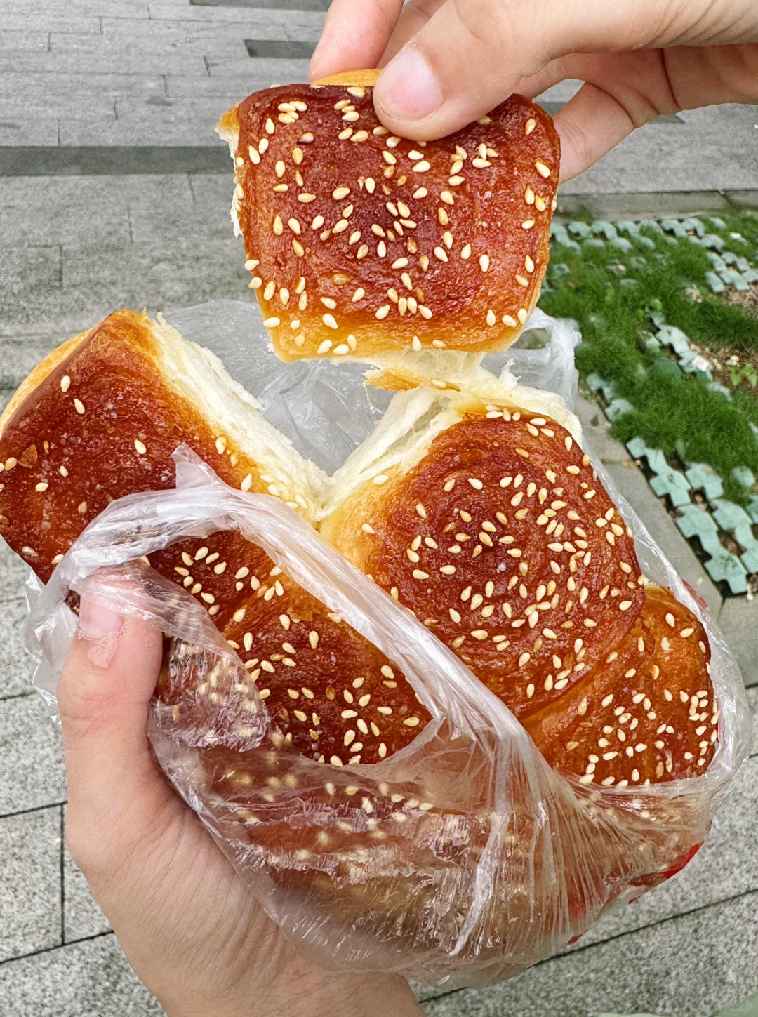 河源的！怀旧蜂蜜小面包🥯我也吃上啦