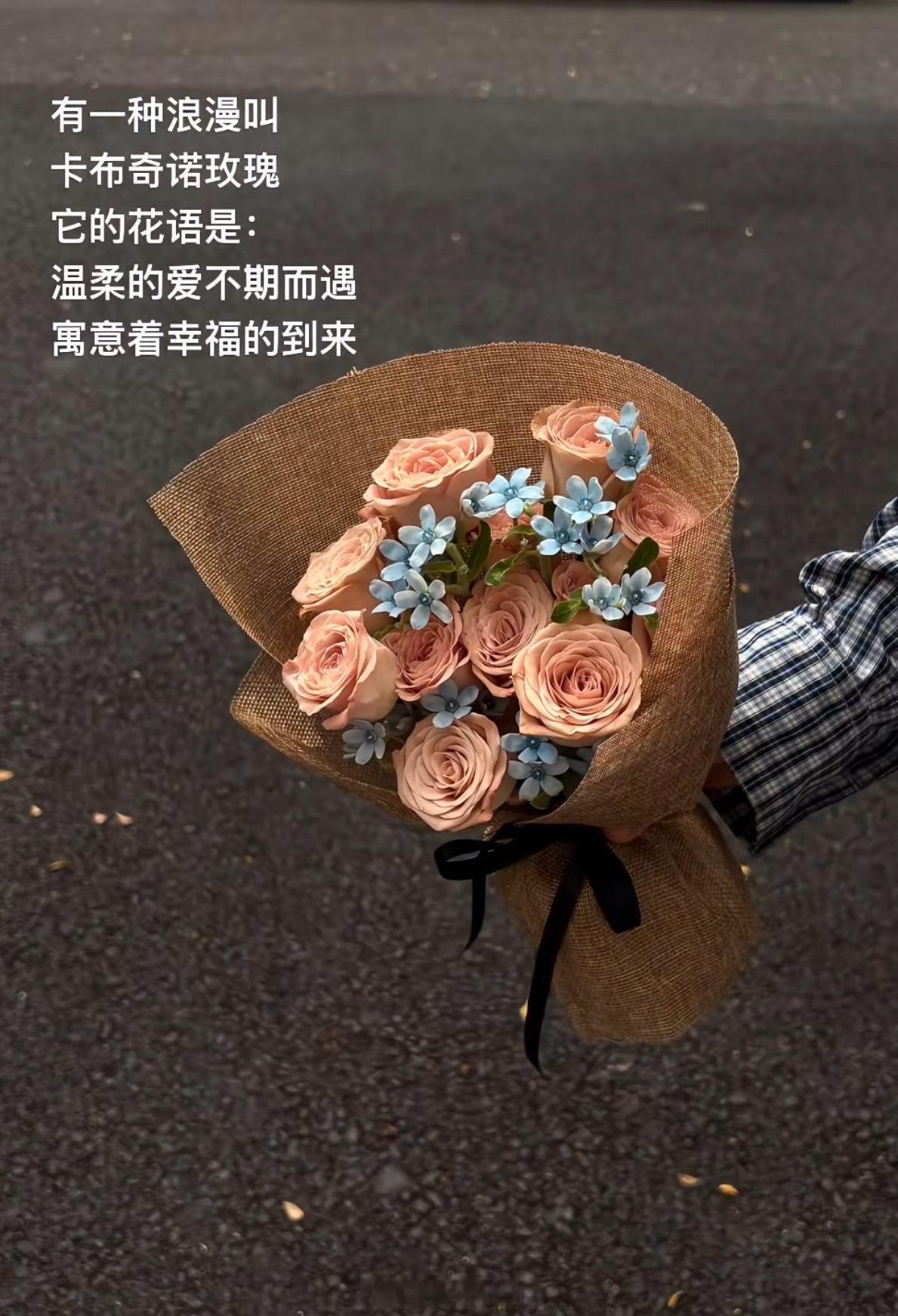 卡布奇诺✼🎀⋆˖ᨳ⁺˳⋆温柔的爱不期而遇 