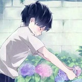 义花玩玩娱乐