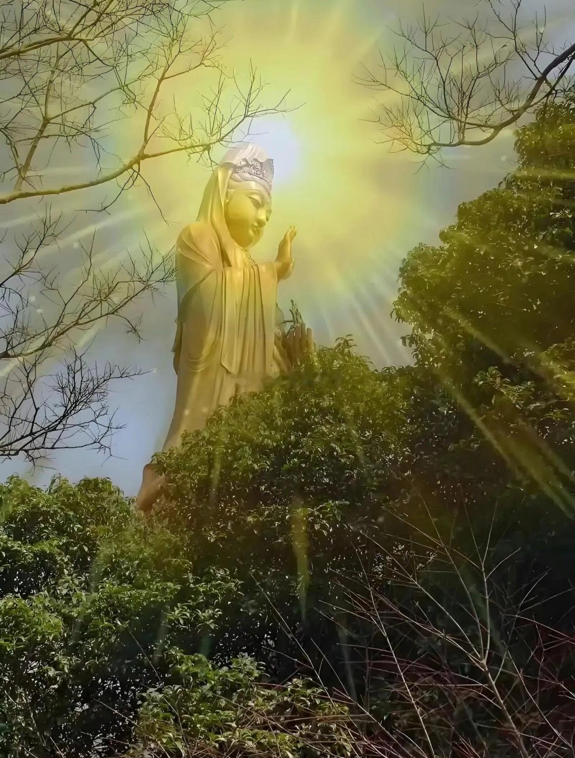 午盘收市，指数如期上涨，但盘面力度偏弱，走势和我预期的强势主升浪差距很大。昨日我