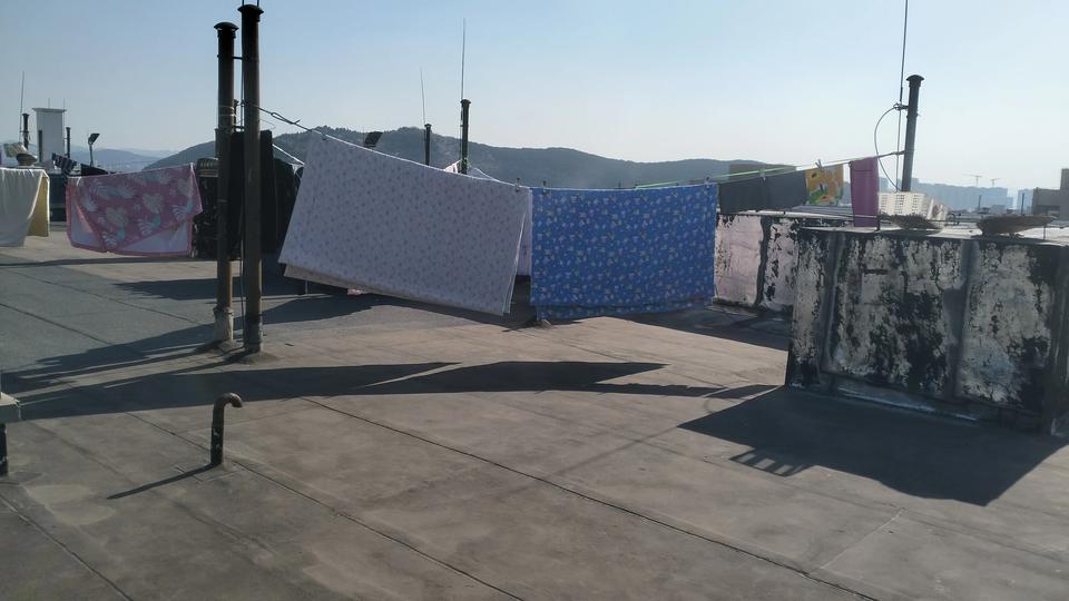 睁开眼就是家务啊这天是纹丝不动 追着晒太阳🌞 冬天我穿短袖，去年这个时候很冷了