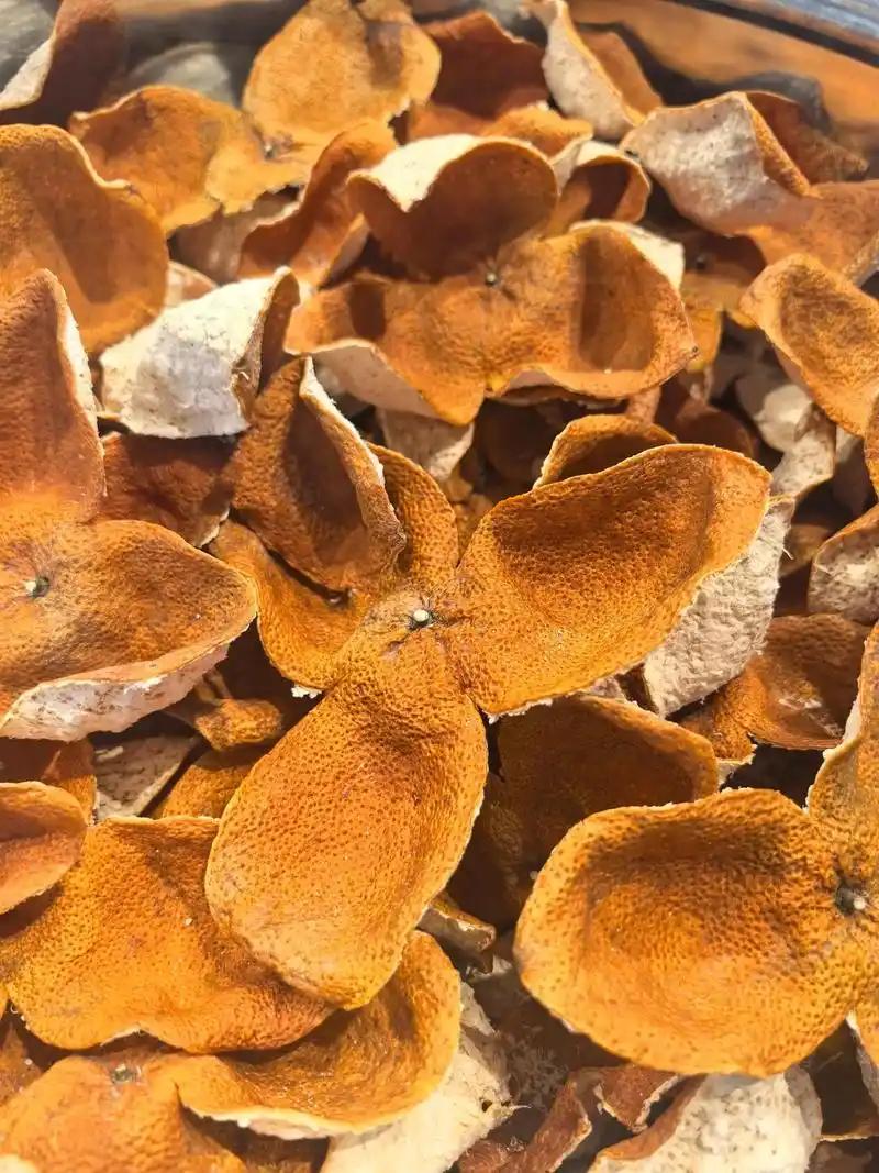 立秋之后，很多人的第一反应就是“贴秋膘”。
红烧肉、炖排骨、火锅轮番上桌，嘴巴是
