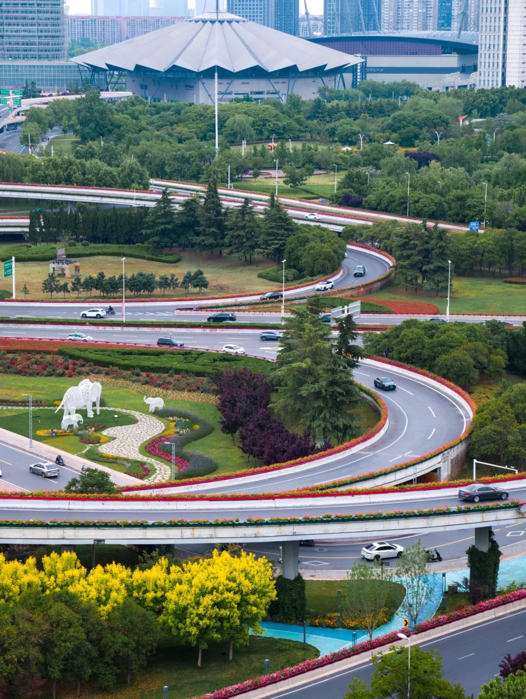郑州一路繁花，值得他们看见……这座城的美，从不需要刻意寻找，不经意间，便会撞入眼