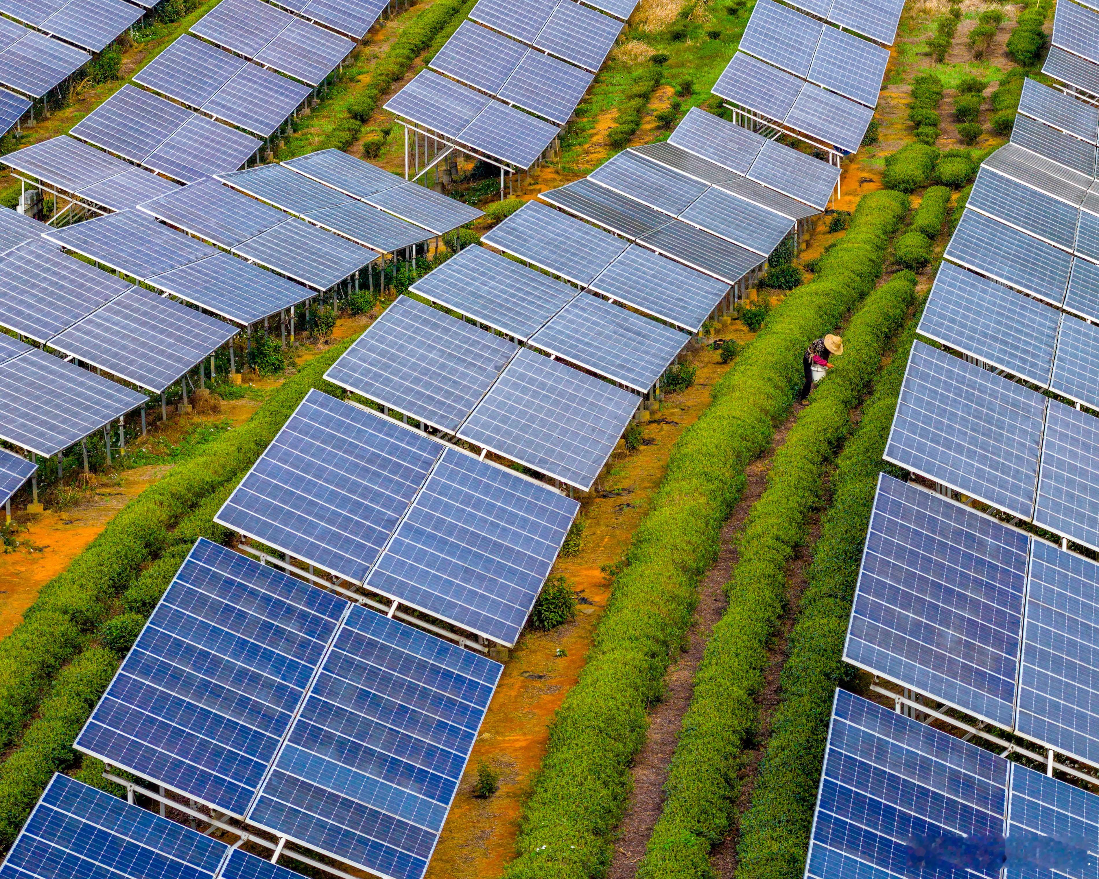 【2025年，清洁能源发电量增速超过了全球电力需求的增长】（卫报）研究发现，去年