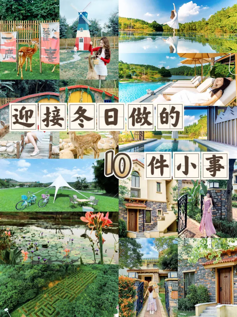 10件迎接冬日到来的小事|提升冬日幸福感
