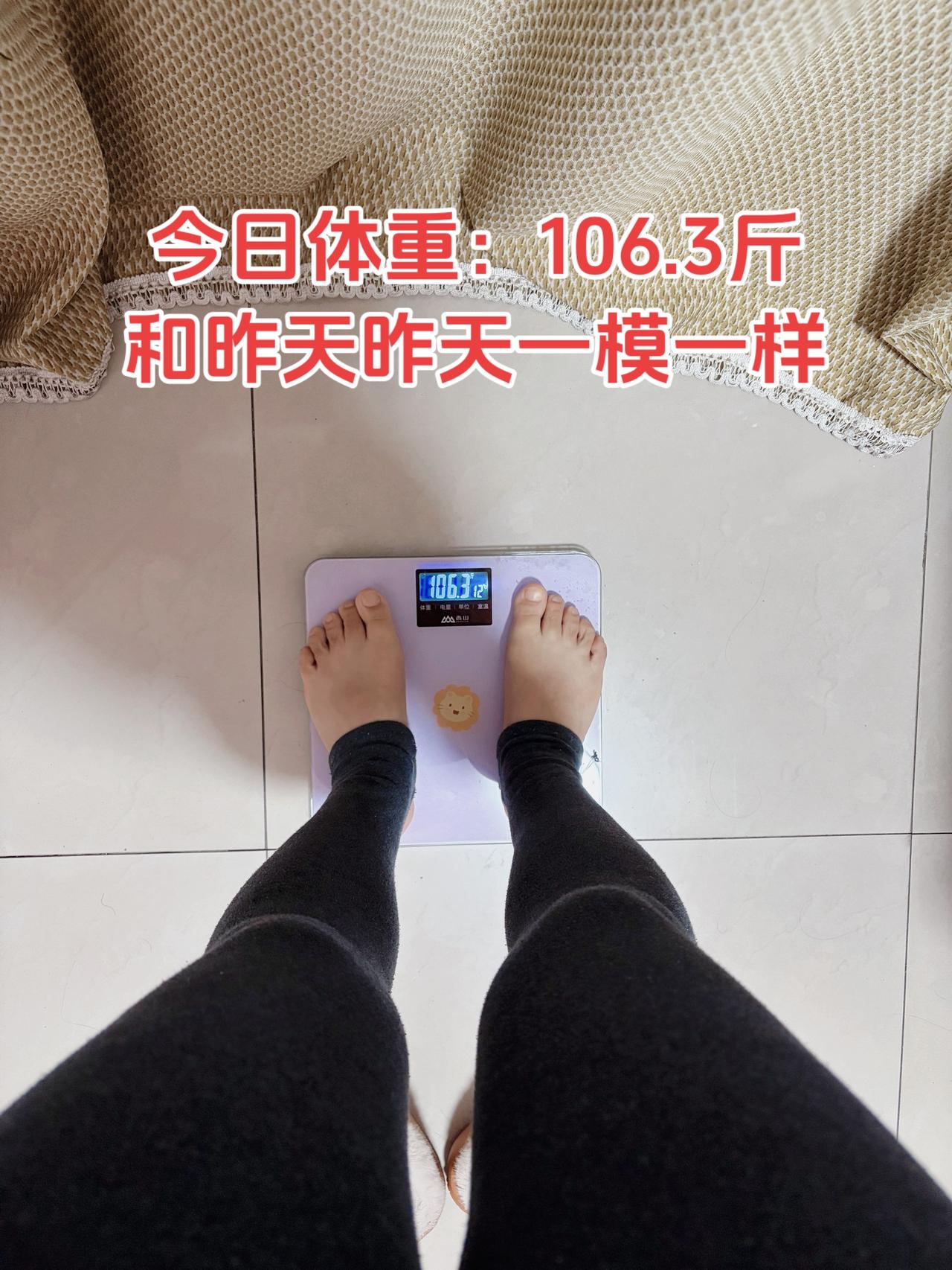 今日减脂早餐：鸡蛋蔬菜饼+红枣+坚果+牛奶