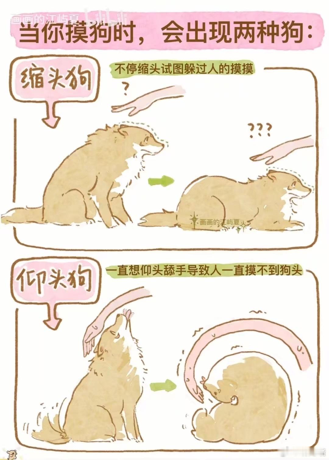 对的对的 