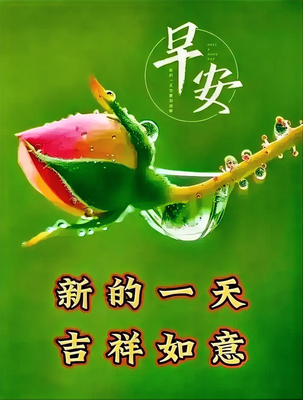 夏风拂面，早安，愿今日清爽顺遂。
分享清晨美句 
早安吉祥问候语分享