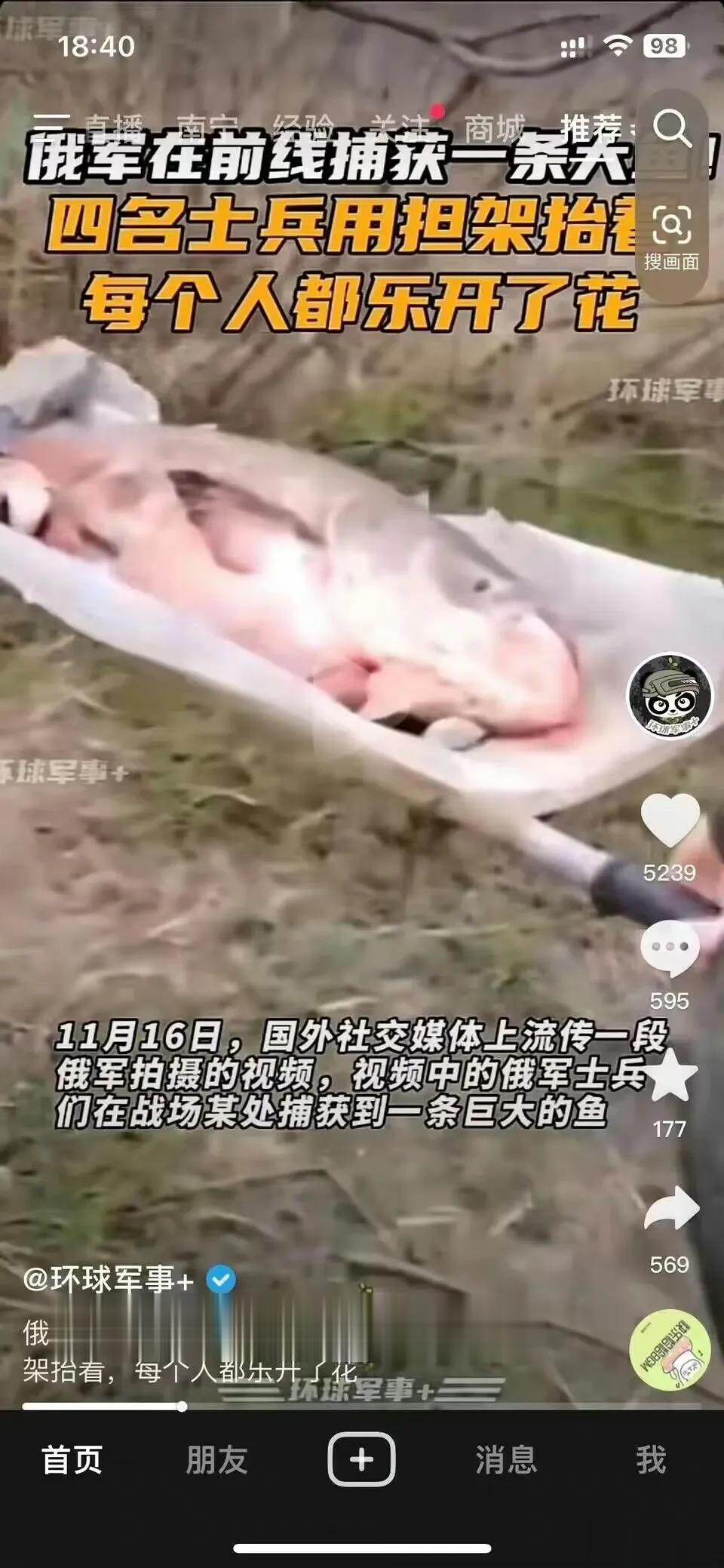 马里乌波尔的大鱼终于找到了 ​​​！
你就说是不是大鱼吧？

熊这头笨熊，吃饱了