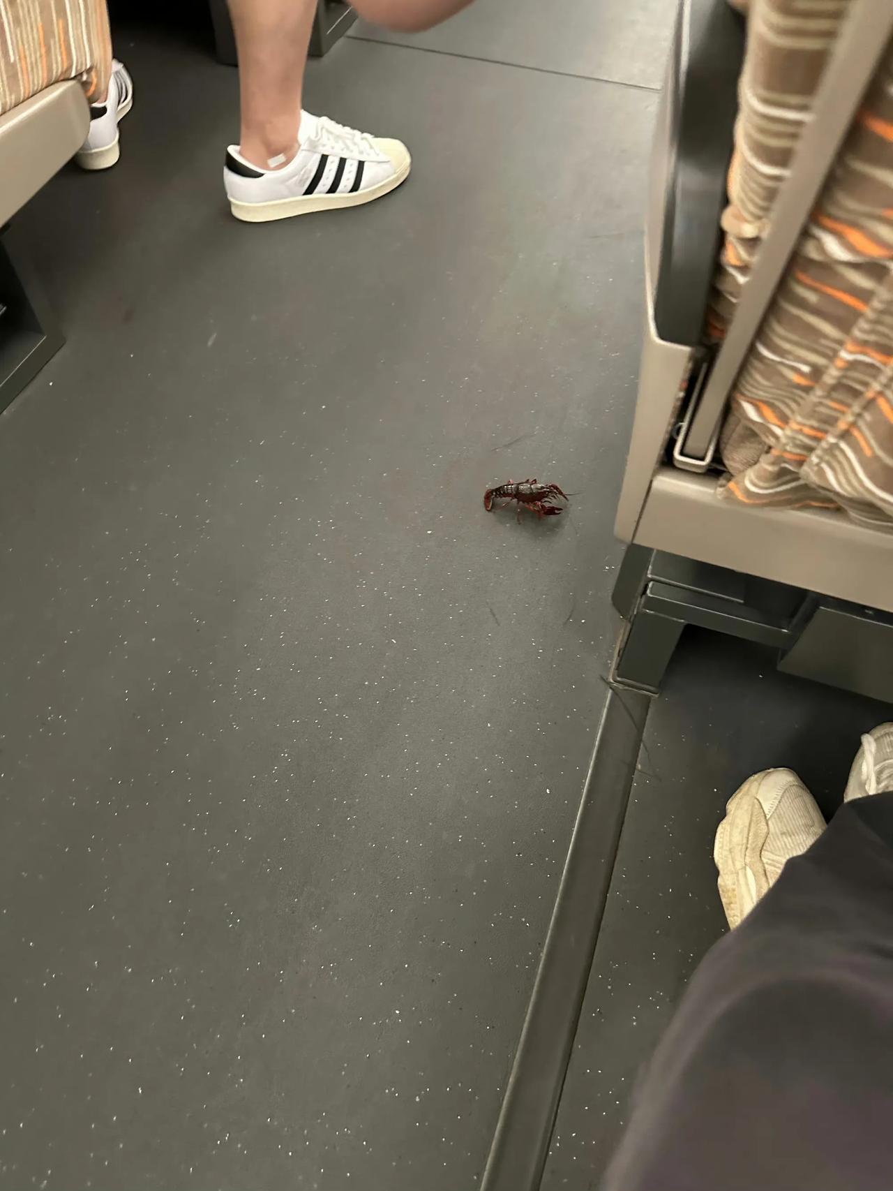 为了生存，他努力的逃跑