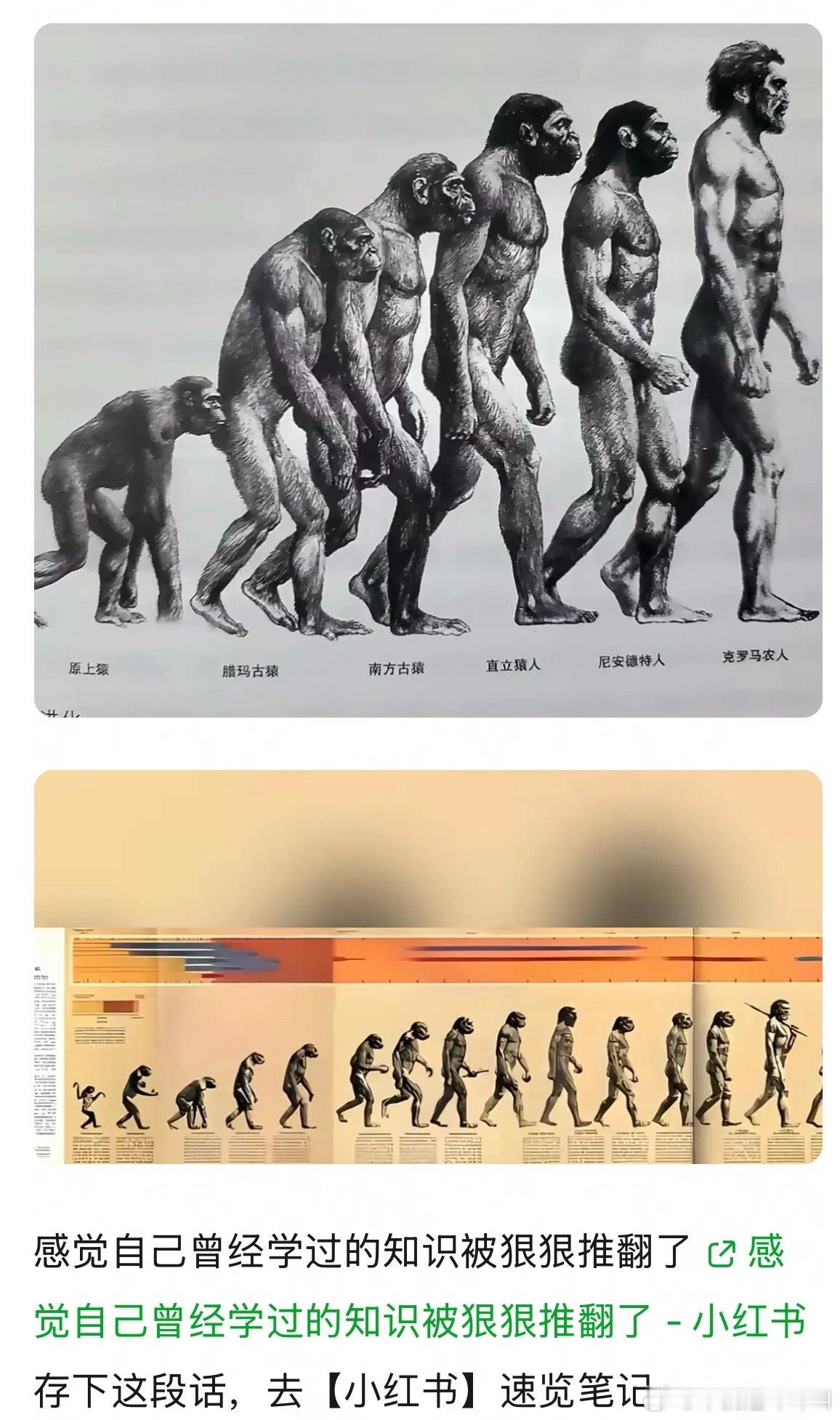 前两天才知道这件事.. 