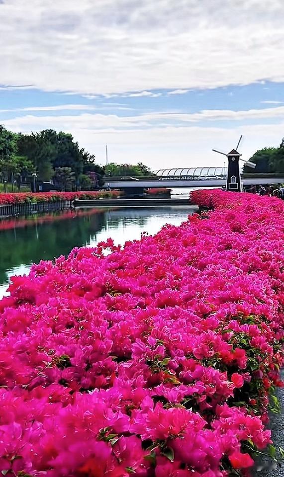 也不知能分多少，如果分的太少提不起来，再也不参加活动了，太累了，心好累。
想写不