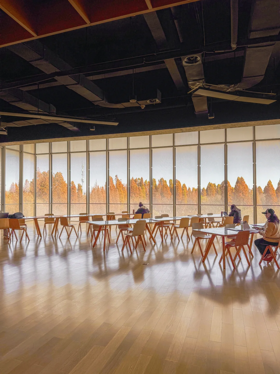 免费！在昆明！太震撼了！！！