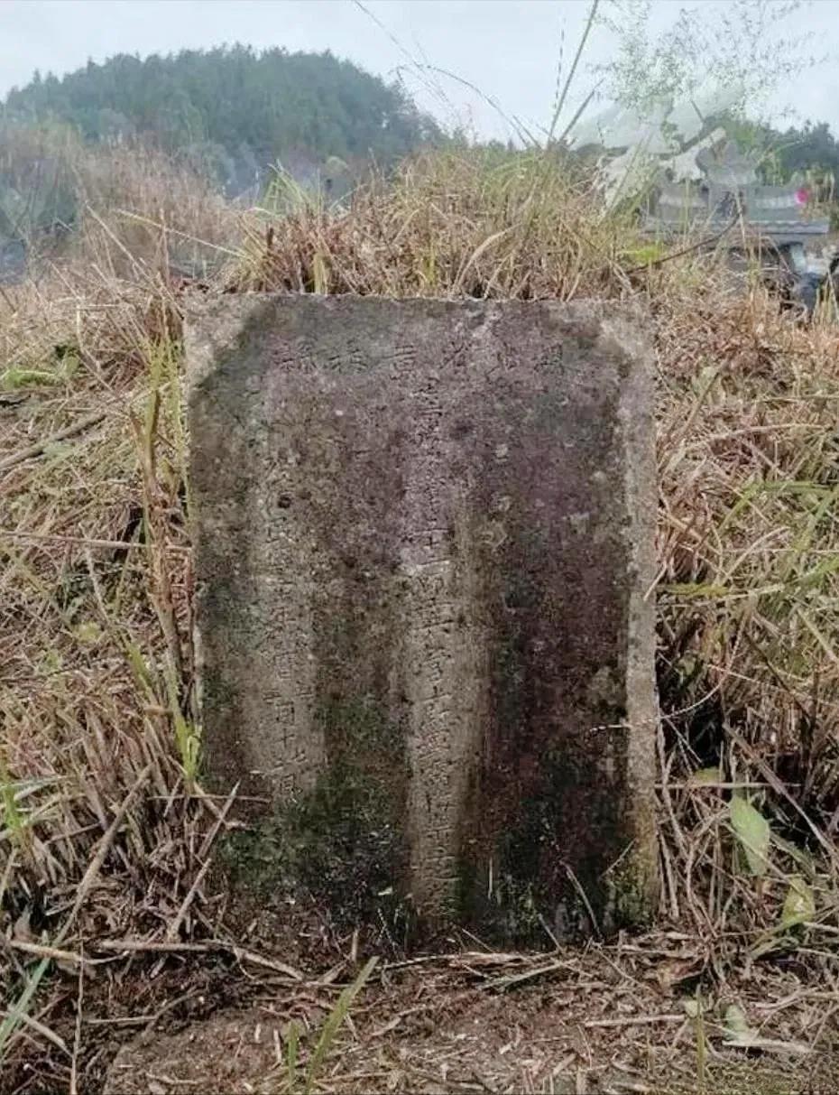 2022年，贵州雷女士在为母亲扫墓时，意外发现一处长满荒草的墓地没人打扫，于是就