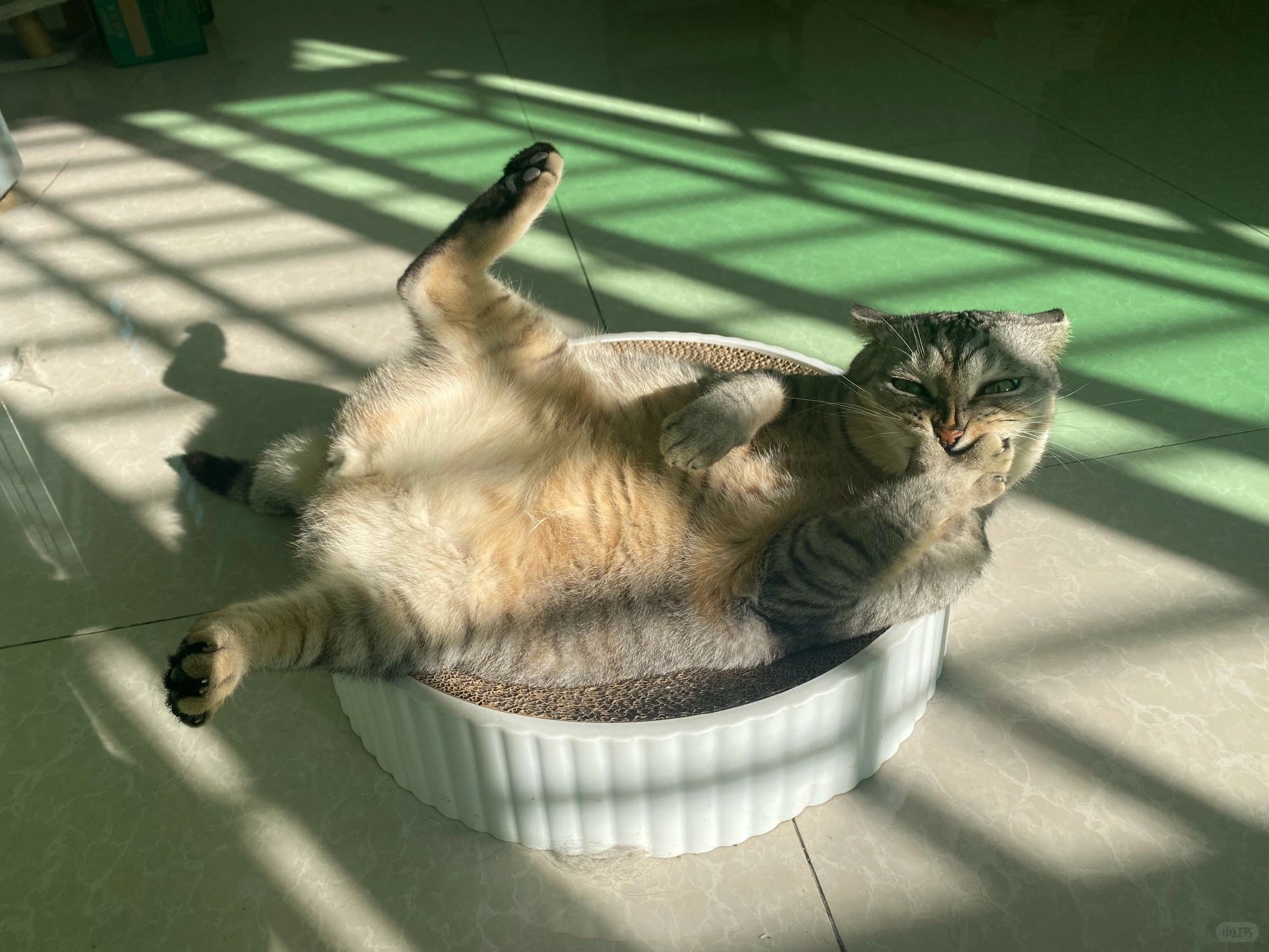 ☔️下雨天，躺在被窝里看书的快乐谁懂啊