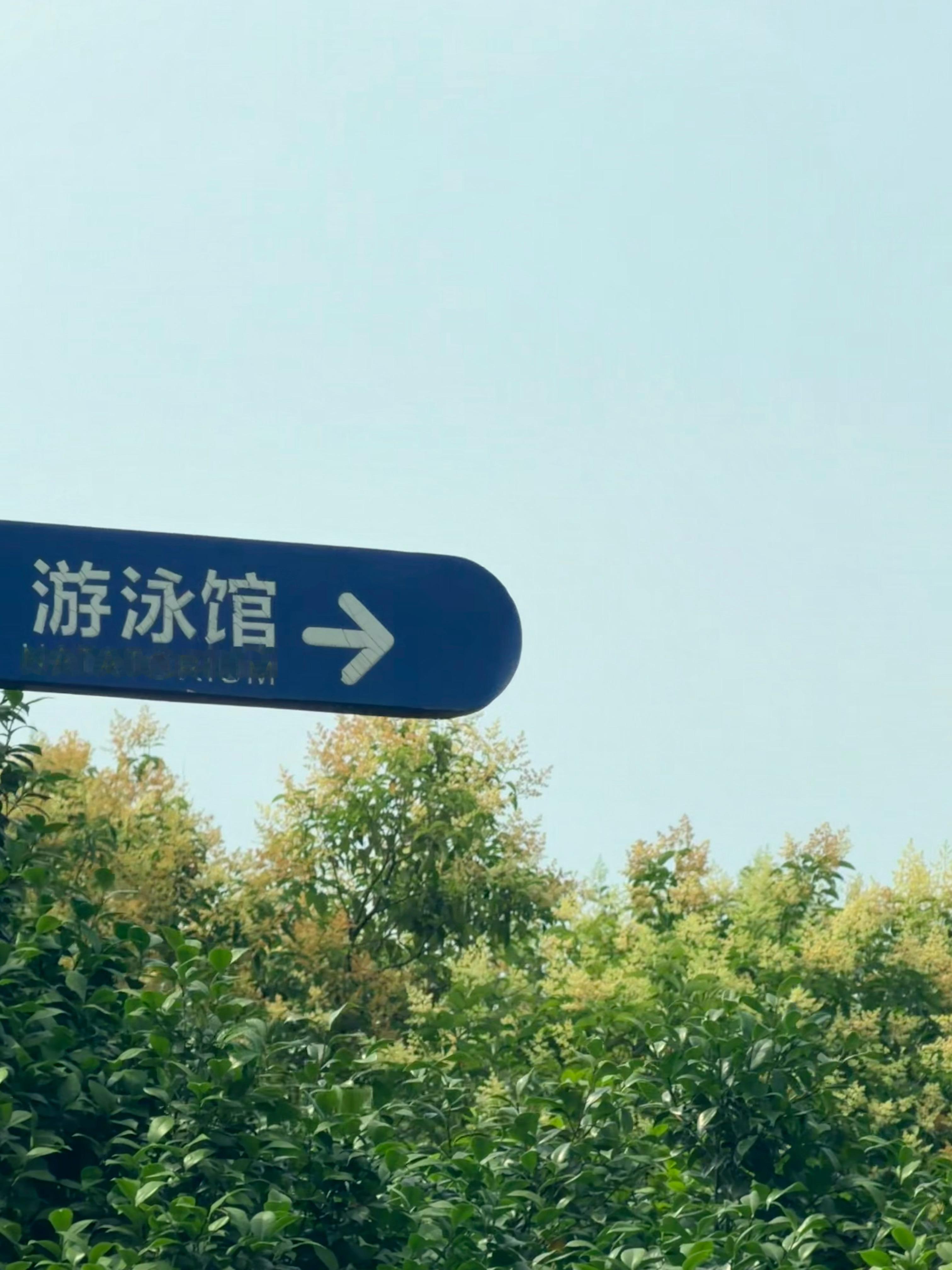 嘿嘿嘿 
