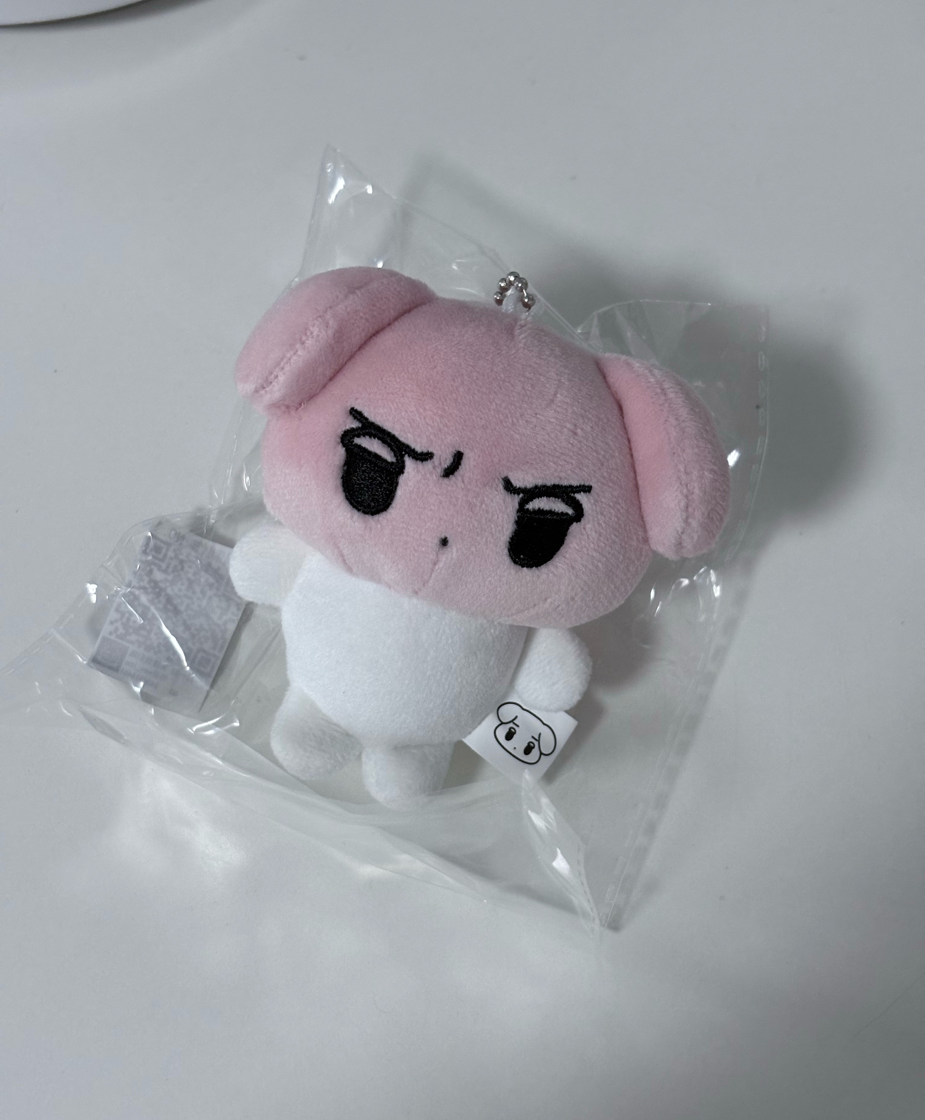 狗 