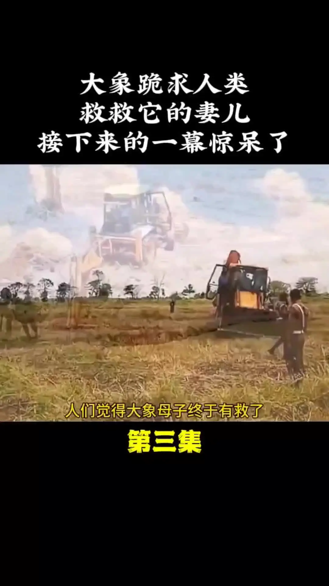 我的观影报告 万物皆有灵性