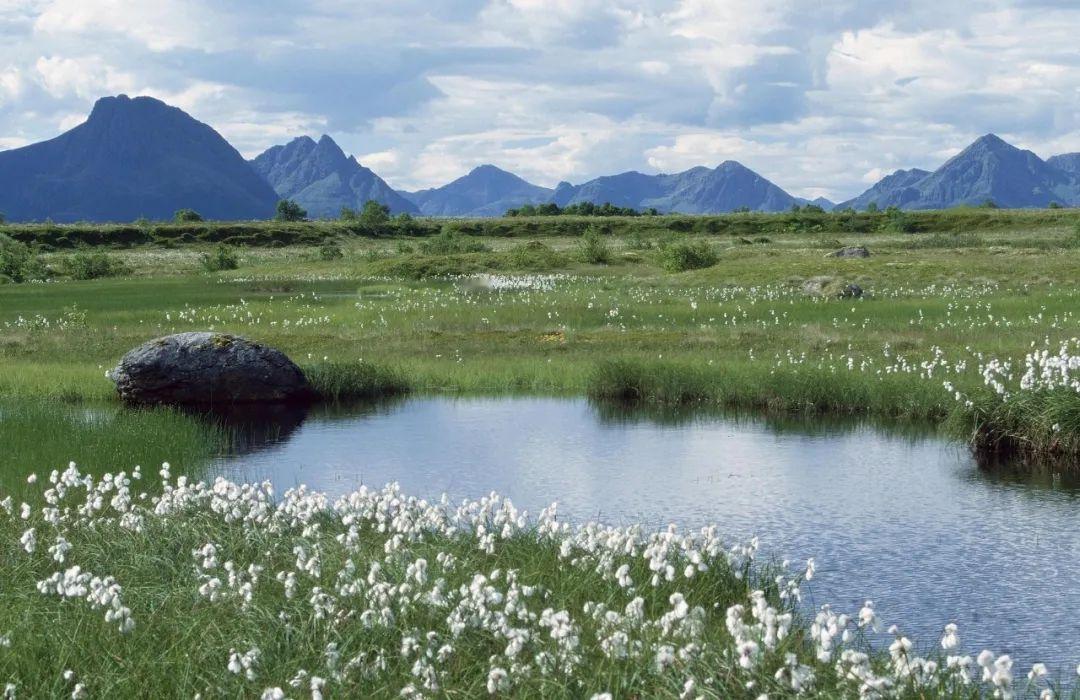 独生女儿远嫁我给了20万，侄子结婚我送了25万，半夜我摔断腿，打电话给侄子，他的