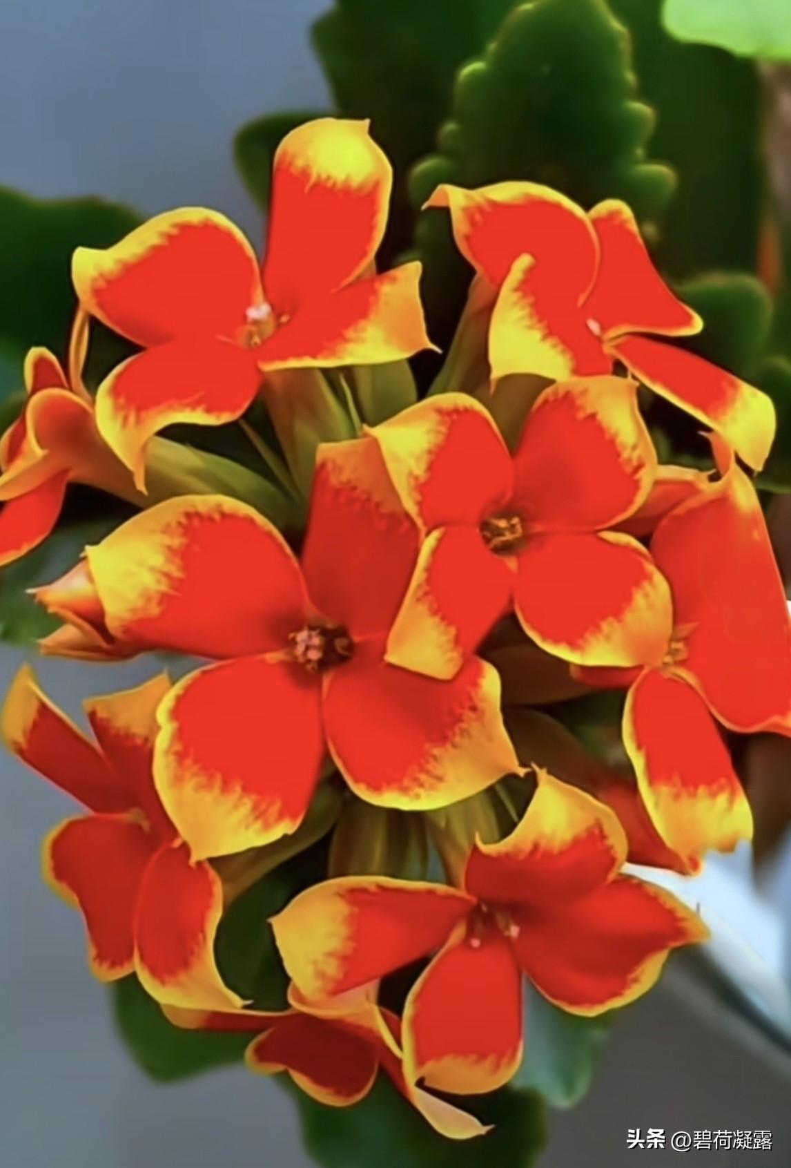 人生风雨路，
一步一领悟，
善良赢平安，
快乐胜财富，
包容藏知足，
感恩添寿福