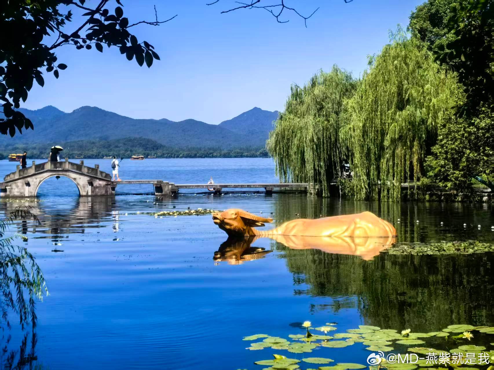 这个天，真的热化了🫠我看这西湖天地里的金牛也要扛不住了吧？其实，我挺想给你整一